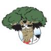 Photo for Robin's Tree Service Columbia MO