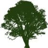 Photo for Stallworth's Tree Service Huntsville