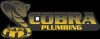 Photo for The Cobra