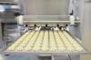 Photo for Southeast Asia Food Processing Equipment Market by Type Industry : Opportunity Analysis and Industry Forecast, 2018 - 2025
