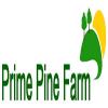 Photo for Prime Pine Farm