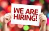 Photo for Urgently Required SEO & E-Mail Marketing Executive