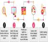 Photo for Banquets in Lucknow | Wedding Venues in Lucknow | Marriage Hall in Lucknow