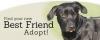 Photo for Adopt dogs near me
