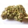 Photo for buy jack marijuana online