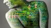 Photo for Organ-on-a-chip Market Prophesied to Grow at a Faster Pace by 2026