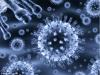 Photo for Bispecific Antibodies Market Cost Analysis, Strategy And Growth Factor Report By 2026