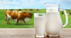 Photo for Organic Milk Market Emerging Technologies and Industry Growth by Forecast to 2026