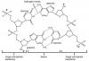 Photo for N-butyl-3-metylpyridinium chloride