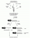 Photo for cd63 exosome marker