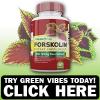 Photo for http://ketooffers.com/green-vibe-forskolin/