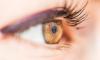 Photo for Refractory Glaucoma Treatment Market Size – Global Industry Share Report 2026