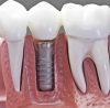 Photo for Bespoke Dental