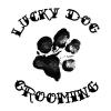 Photo for Lucky Dog Grooming