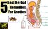 Photo for Collection of Best Home Remedy and Natural Cures