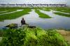 Photo for Disadvantages of smart agriculture