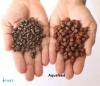 Photo for Aquafeed Market Size is Expected to Reach US$ 82 Million by 2024