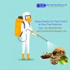 Photo for Affordable Pest Control Gurgaon Services