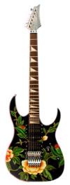 Photo for Colored Folk GuitarsTM Flower Power!