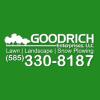 Photo for Lawn Maintenance