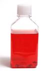 Photo for Cell Culture Media Market Research report forecast to 2023