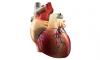 Photo for Prosthetic Heart Valves Market Huge Growth Opportunity Trend By 2018-2026