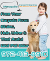Photo for Mesquite Carpet Cleaning