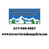 Photo for Tree Service in Indianapolis