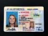Photo for Buy Fake USA ID - USA State ID Cards - Fake USA Driver License : http://idinstate4u.com/