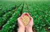 Photo for Agricultural Micronutrients Market Opportunity Analysis, 2018 – 2025