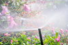 Photo for Savannah Sprinkler and Irrigation