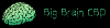 Photo for Get 100% Pure CBD Products and Natural Nootropics only from Big Brain CBD