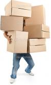 Photo for Local Venice Movers