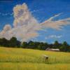 Photo for Carlton Gallery