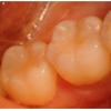 Photo for Peyton Dental & Orthodontics