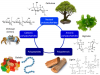 Photo for Biopolymers Market - Size, Share, Outlook, and Opportunity Analysis, 2018-2026