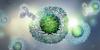 Photo for Immune Checkpoint Inhibitors Market is forecasted to witness a thriving growth by 2026