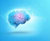 Photo for Magnetoencephalography Market Forecasted Healthcare Industry and Key Players