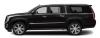 Photo for Luxury Rides Limo - Homecoming