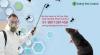 Photo for Remove Bugs from your homes with Pest Control Gurgaon Professionals
