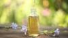 Photo for Chicory Oil Market Enhances the Performance During Forecast 2019-2025