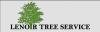 Photo for Lenoir Tree Service