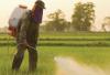 Photo for Agrochemicals Market Industry Analysis, Demand and Trends 2026