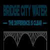 Photo for Bridge City Water Portland