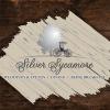 Photo for Silver Sycamore