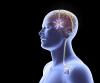 Photo for Deep Brain Stimulators Market Report 2016-2021 | Latest Trend, Growth & Forecast