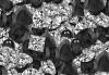 Photo for Lab Grown Diamonds: IGI Certified Lab Created Diamonds & Lab Diamonds by Classic Grown Diamonds