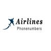 Photo for Airlines Phone Number