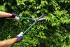 Photo for Whirl Wind Landscaping