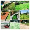 Photo for Southern Touch Lawn and Landscape LLC